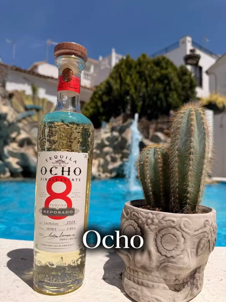 Instagram post from echalemanito. This post is in position 3.
